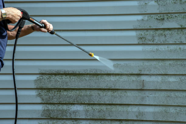 Best Exterior Home Cleaning  in Summerde, AL